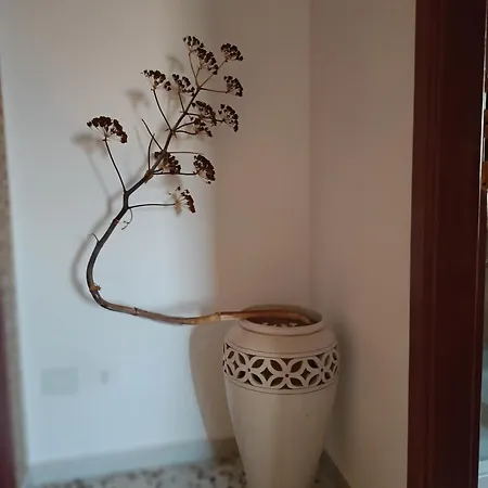 Bed and breakfast Nina Artistico